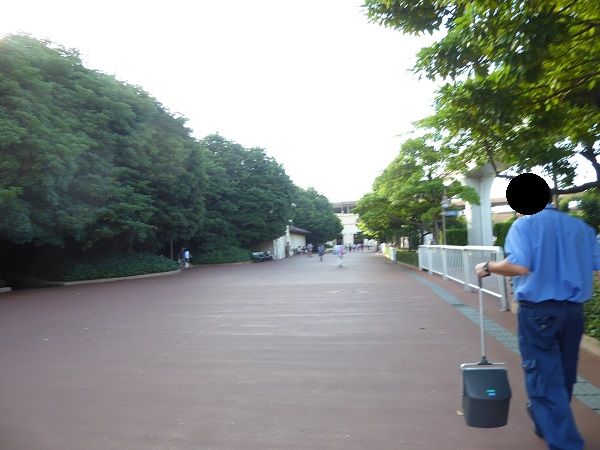 247 シーアーリー