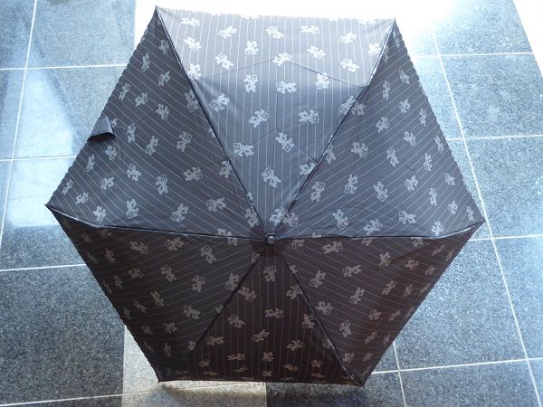 315 バケパ日傘