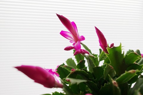 20180108a