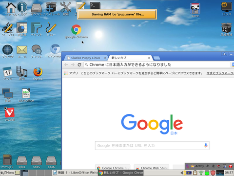 Chrome(15)