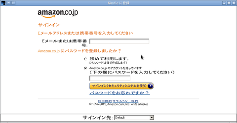 kindle03
