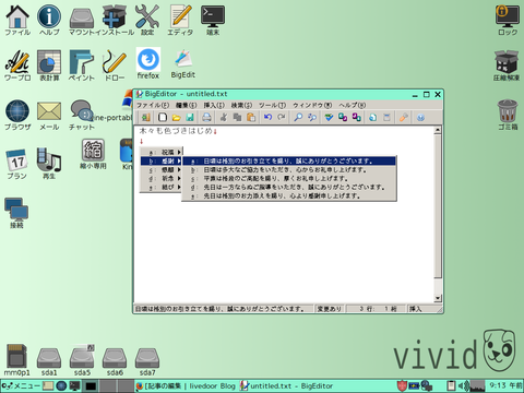 bigeditor02