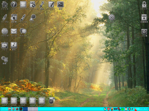 capture12961