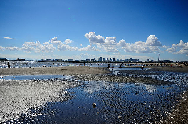 夏海昼下がり - 4 夏海昼下がり - 4