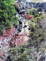 清滝