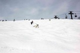 IMG_8676