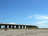 新居P