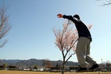 桜スラック