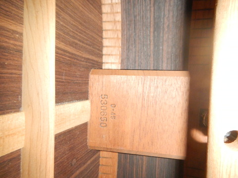 DSCN0293
