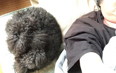 2571E27E-21DE-4E3A-9907-4621FAE92F85