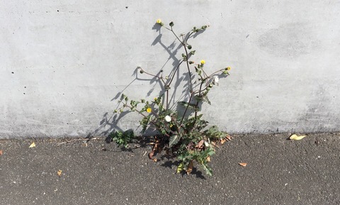 377ECD11-EE1A-415B-BECB-FE79AC0FB4B6