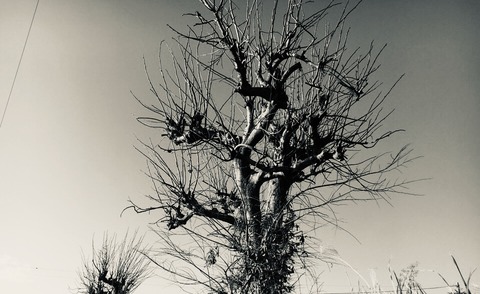 10CCB50C-0F9E-40BD-9A3F-C9C4DD9A0870