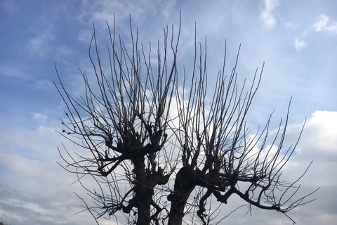 EB8B6113-FCC1-4F55-B595-EEE5CC324BC4