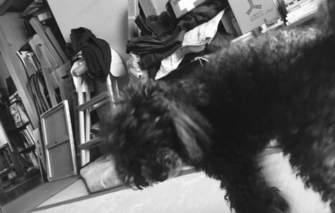 68C85C91-693F-4781-BFEC-7DE6A76B5042