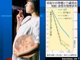 妊婦喫煙と知能