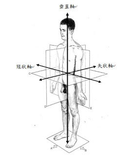 人體的軸與面