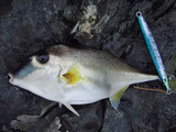 20060120