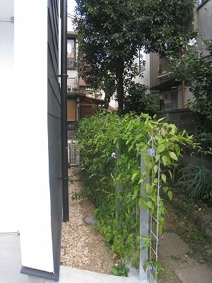 画像 002