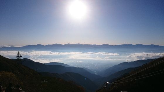 2017¥«¡¼¥ë¢