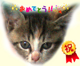 BlogPaint