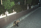 銭湯の跡地