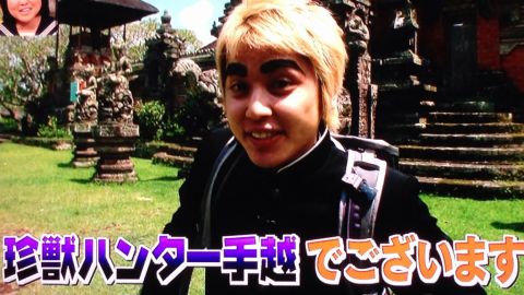 tego6