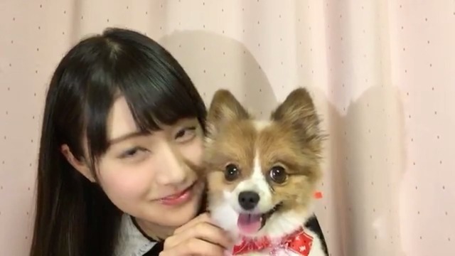 KatoMinamiDogShowRoom20161018