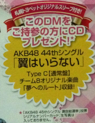 SakaguchiNagisaVote2016Toyota060402