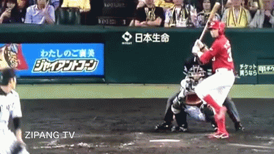 阪神・金本知憲監督の解任を要求する！5 [無断転載禁止]©2ch.net	->画像>20枚 