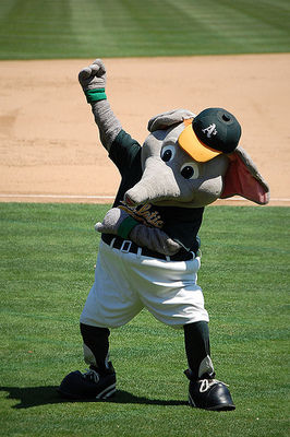 Stomper_display_image