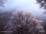 wac-2_1603