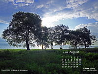 wac-2_1808