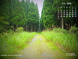 wac-1_1607