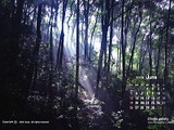 wac-2_1606