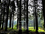 wac-2_1607