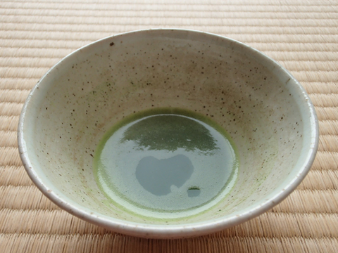 P4170035