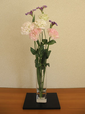 P4280247.jpg