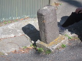 1-IMG_1508