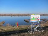 1-IMG_1388