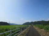 1-IMG_6605
