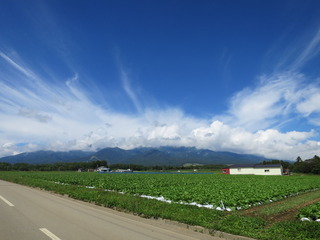 1-IMG_4570