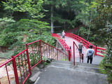 1-IMG_6524