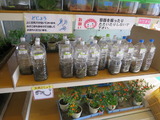 1-IMG_6623