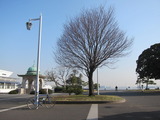 1-IMG_4383