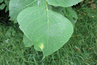 m090701