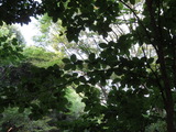 IMG_0577