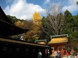 121101天満宮