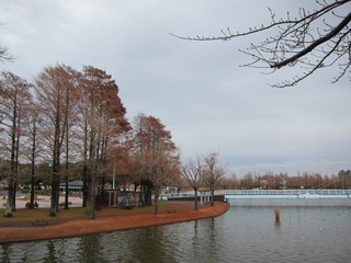 012202水元公園