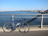 1-IMG_1565