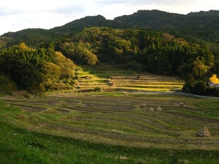 1126003大山千枚田
